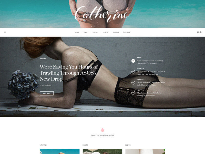Magazine WordPress Theme - Catherine